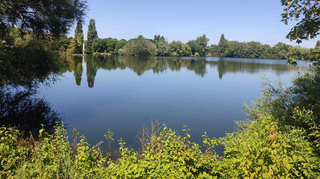 Der Deichsee im Volksgarten