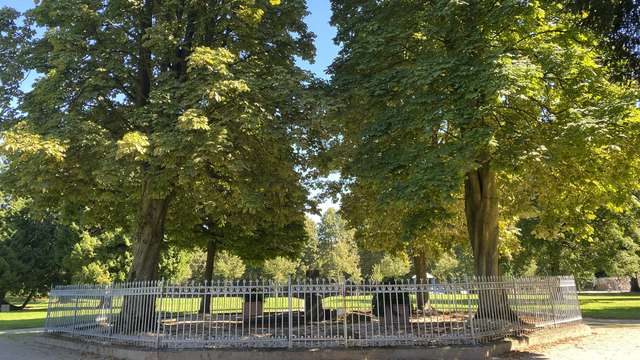 Ein Denkmal mitten im Park