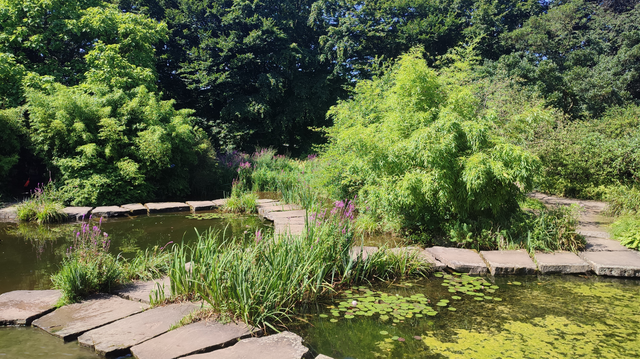 Ein Blick in den Botanischen Garten im Volksgarten