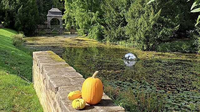 Kürbisse liegen dekoriert an einer Mauer am Wasser