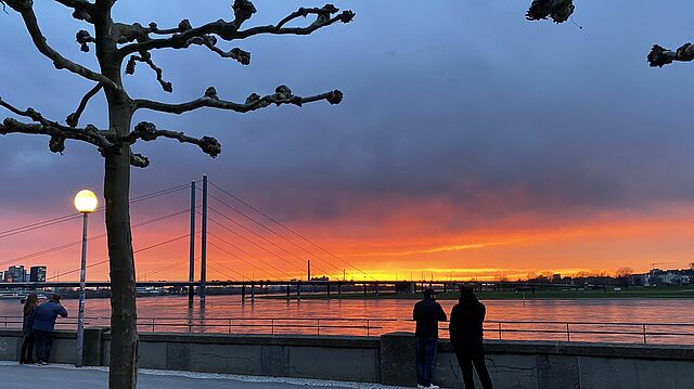 Düsseldorfer Skyline am Abend.