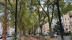 Straße in Düsseldorf mit Schienen in der Mitte