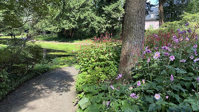 Ein Weg durch den Benrather Schlosspark