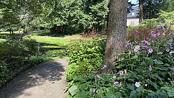 Ein Weg durch den Benrather Schlosspark