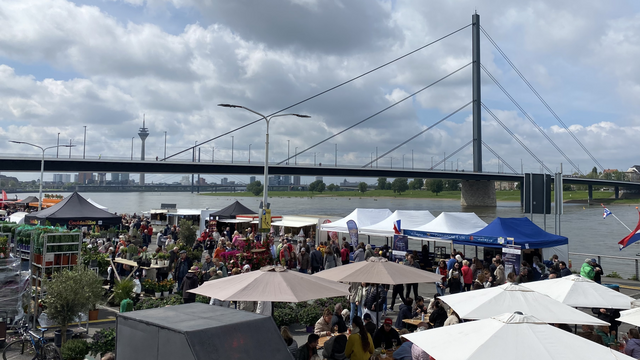 Stände des Fischmarktes mit Rhein, Brücke und Fernsehturm im Hintergrund