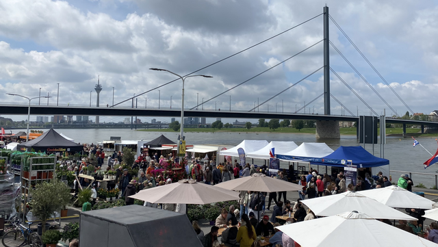 Fischmarkt von oben mit Rheinturm im Hintergrund