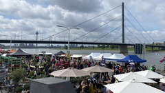 Fischmarkt von oben mit Rheinturm im Hintergrund