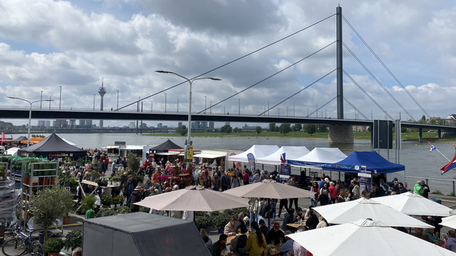 Stände des Fischmarktes