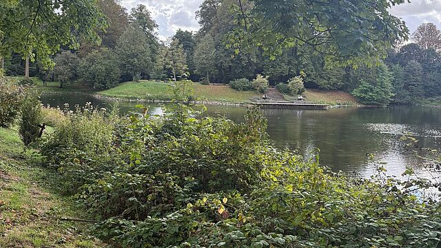 Ein See umgeben von Bäumen