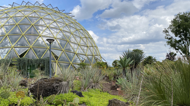 Die Kuppel im botanischen Garten