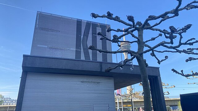 Das Gebäude des KIT Museums mit Baum davor und Rheinturm im Hintergrund