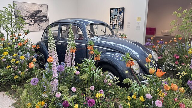 Blumen um einen alten VW Käfer