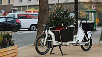 Lastenrad mit Tannenbaum drin