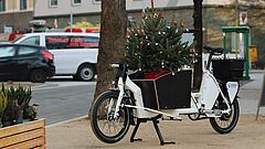 Lastenrad mit Tannenbaum drin