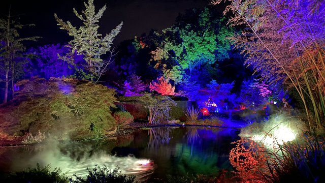Bunte Lichtelemente strahlen die Bäume auf Schloss Dyck an