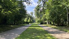 Ein Teil vom Schlosspark mit Bäumen 