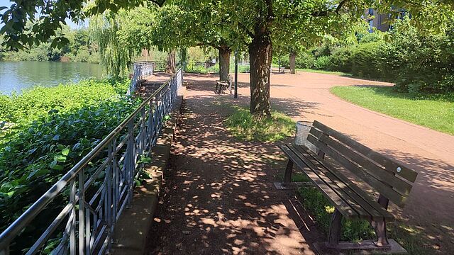 Ein Laufweg mit Bänken und Bäumen