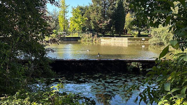 Ein See im botanischen Garten