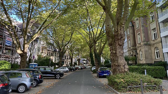 Straße in Düsseltal.
