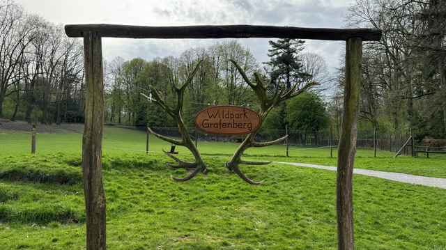 Ein Schild mit einem Rehgeweih