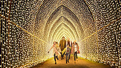 Menschen gehen einen Pfad voller Lichter entlang