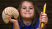 Ein Kind hält eine große Muschel und einen Stift in der Hand