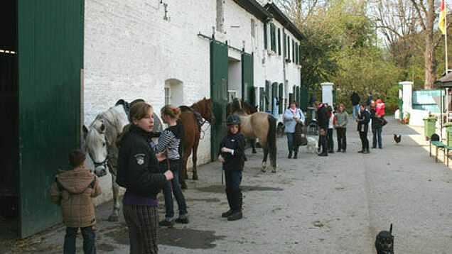 Kinder stehen bereit zum Reiten.
