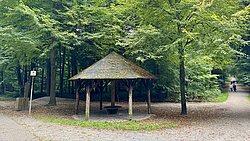 Eine Hütte im Wald